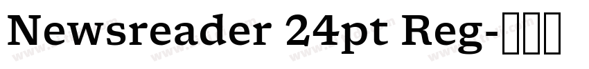 Newsreader 24pt Reg字体转换 Newsreader 24pt Reg字体转换